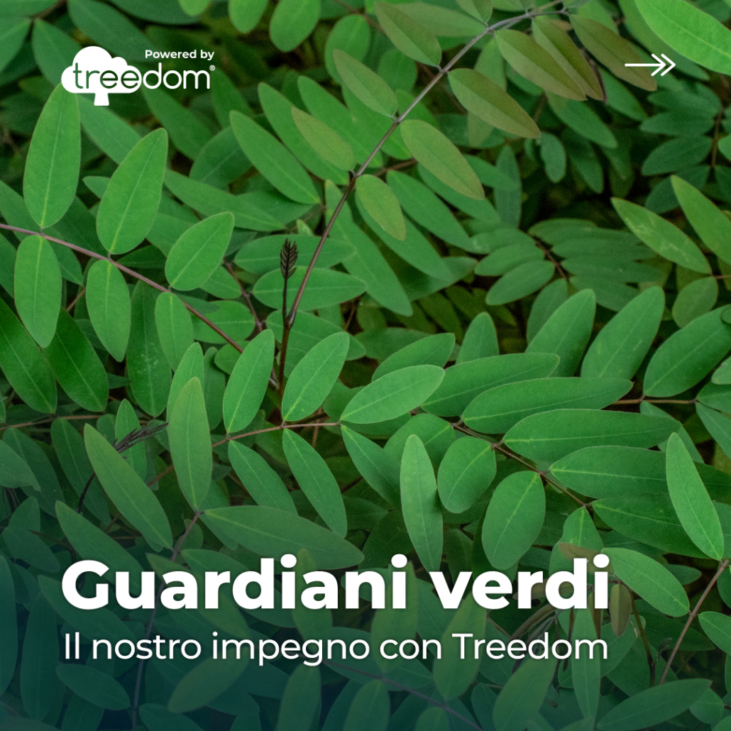 Treedom_BO_CommKit 2024_Carousel - 300 Trees_IT_1
