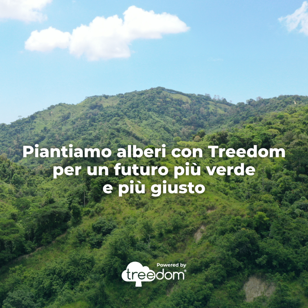 Treedom_BO_CommKit 2024_Carousel - 300 Trees_IT_5